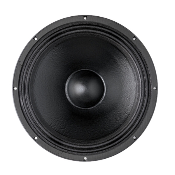 B&C 18PZB100 18-Inch Speaker Driver - 700W RMS, 8 Ohm, Spring Terminals