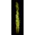 Le Maitre PP347A Prostage II VS Intense Flame, 10 Feet, Green - view 6