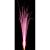 Le Maitre PP1169 Prostage II VS Mine with Tail (Box of 10) 20 Feet, Pink - view 5