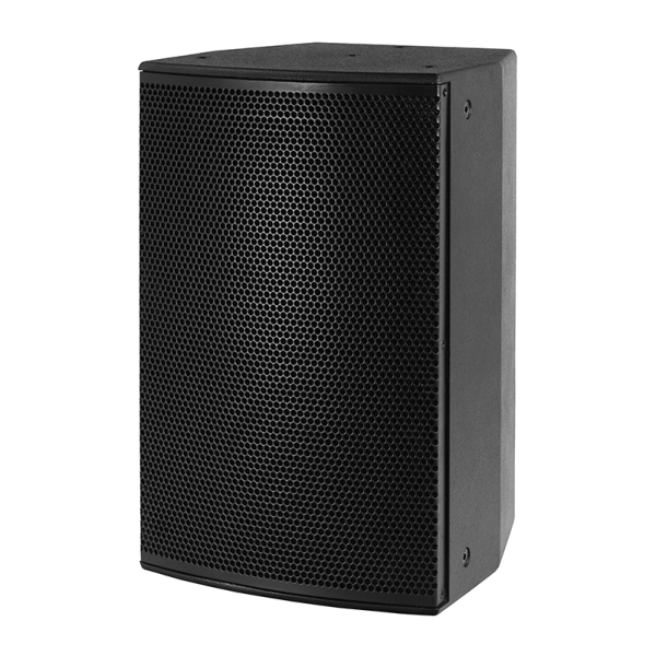 Clever Acoustics SVT 250 10-Inch 2-Way Speaker, 250W @ 8 Ohms - Black