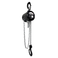 Eller Mini Chain Hoist, 250kg 10m