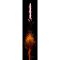 Le Maitre PP1393 Prostage II VS Comet (Box of 10) 20 Feet, Red