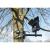 Showgear 48mm Tree & Pole Mounting Bracket MkII - view 2