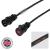 elumen8 30m 32A Male - 32A Female 3PH 6mm 5C Cable, PCE - view 1