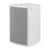 Clever Acoustics SVT 250 10-Inch 2-Way Speaker, 250W @ 8 Ohms - White - view 1