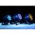Showtec Cameleon Spot 12Q6 Tour RGBWA+UV LED Spot, 12x 12W - IP65 - view 15